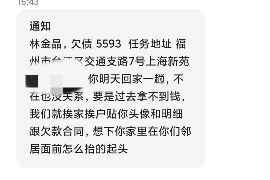 汝城为什么选择专业追讨公司来处理您的债务纠纷？